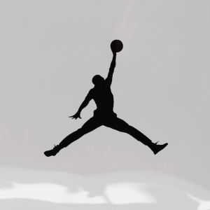 JANJORDANSTADIUMBAG-44.png 63754